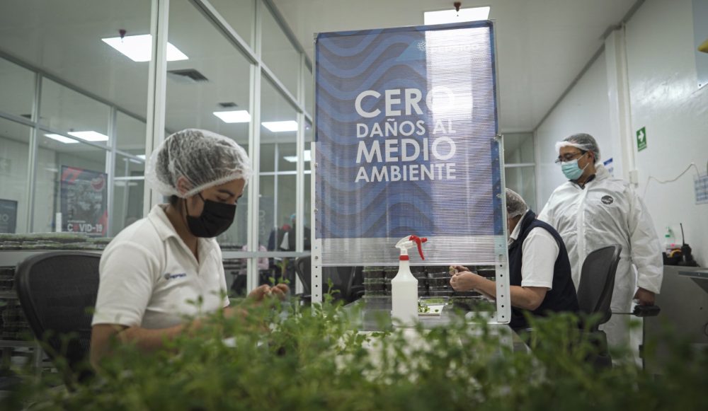 El Centro de Desarrollo Agrícola Sabritas revoluciona los agronegocios en México