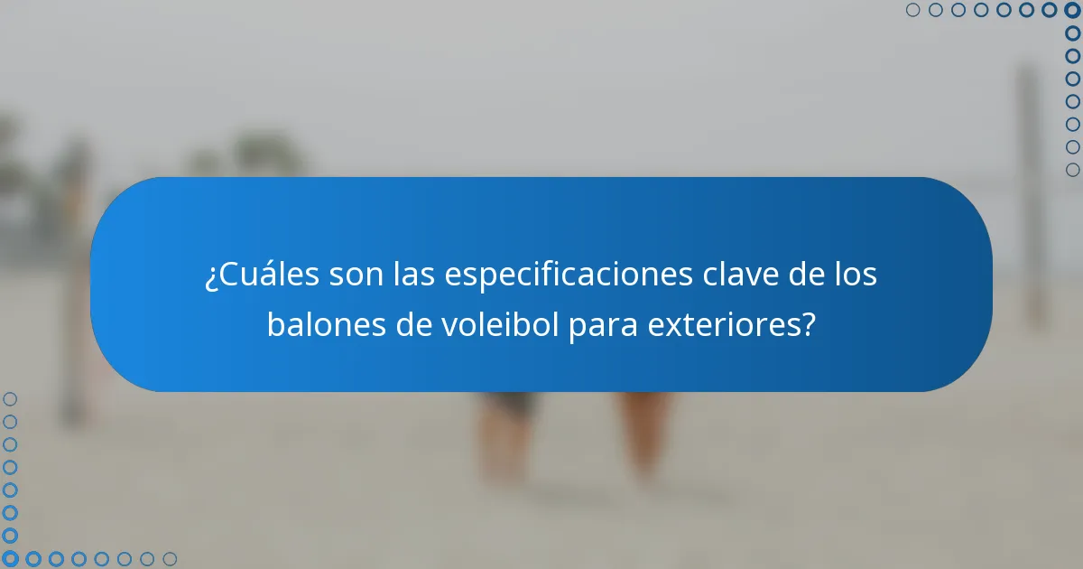 ¿Cuáles son las especificaciones clave de los balones de voleibol para exteriores?