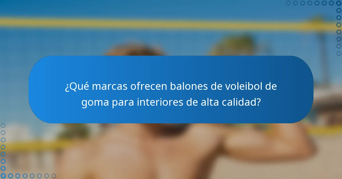 ¿Qué marcas ofrecen balones de voleibol de goma para interiores de alta calidad?