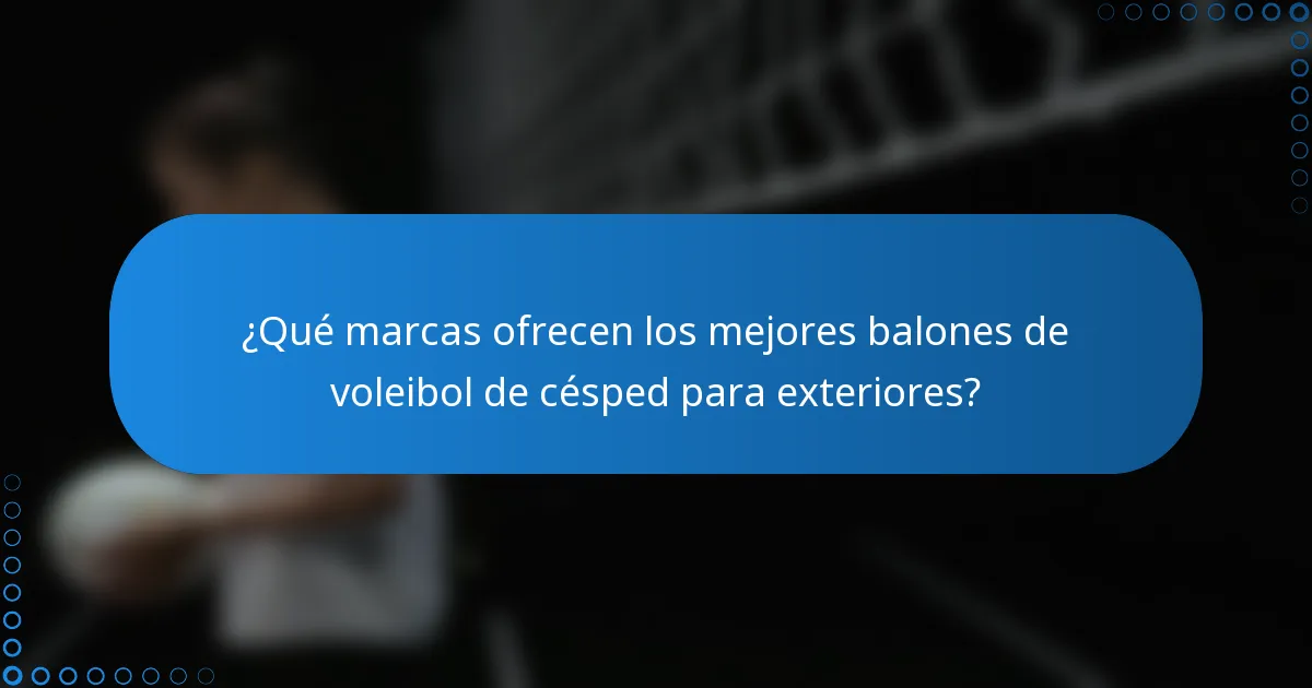 ¿Qué marcas ofrecen los mejores balones de voleibol de césped para exteriores?