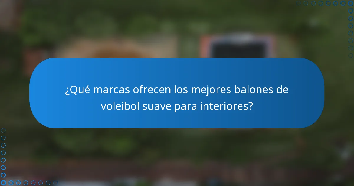 ¿Qué marcas ofrecen los mejores balones de voleibol suave para interiores?