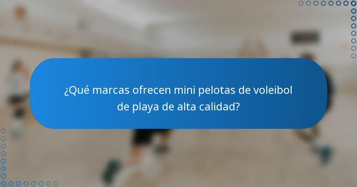 ¿Qué marcas ofrecen mini pelotas de voleibol de playa de alta calidad?